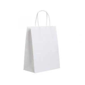 Take Away Bags with Twisted Handle